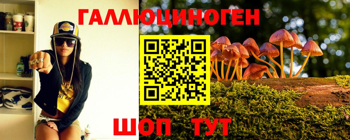 Псилоцибиновые грибы Psilocybe Тамбов