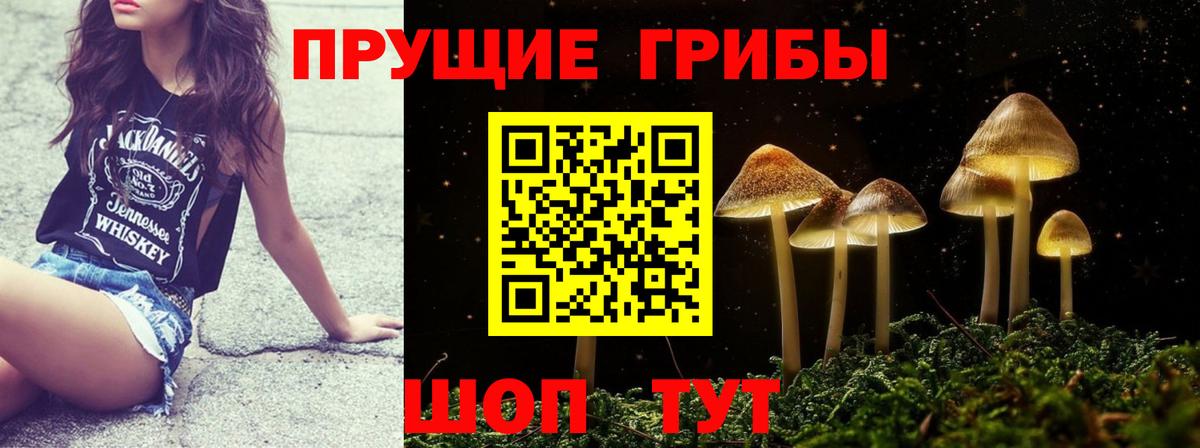 Галлюциногенные грибы MAGIC MUSHROOMS  Вход с VPN  купить наркоту  Тамбов  Псилоцибиновые грибы Cubensis 