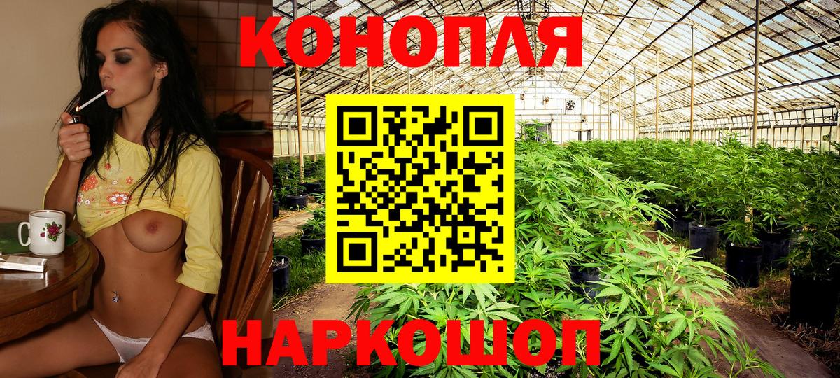 МАРИХУАНА Bruce Banner  Шишки марихуана THC 21%  Вход с VPN  Бошки Шишки Amnesia  МАРИХУАНА SATIVA & INDICA  Тамбов 